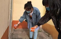 如何消滅跳蚤？（下）