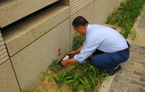 如何尋找合適的滅鼠公司？