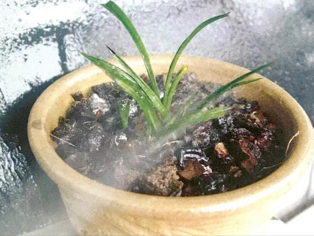 夏季蚊子增多怎么回事?